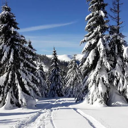 Apartamento Safran Donovaly