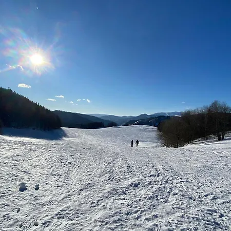 Apartamento Safran *