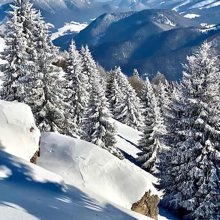 Apartment Safran Apartment Donovaly