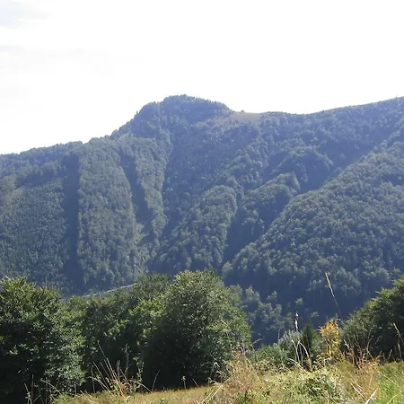 Apartment Safran Apartment Donovaly